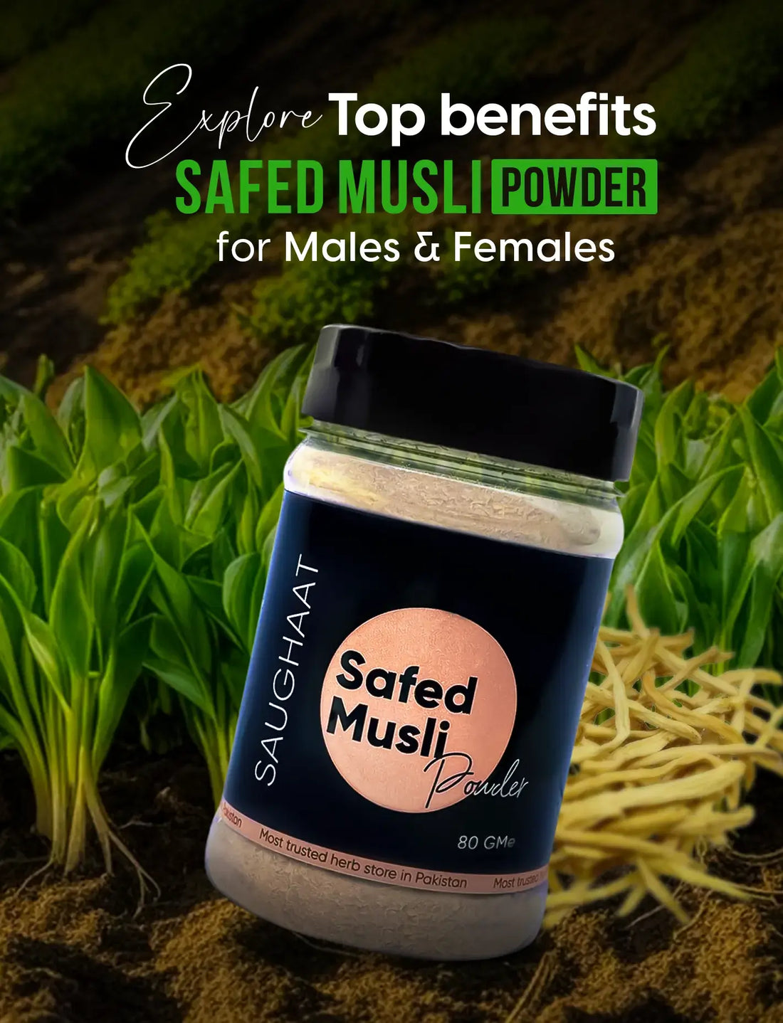 Safed Musli benefits for male