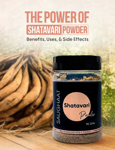 shatavari powder