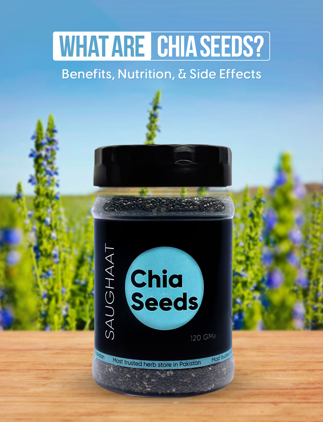 What are Chia Seeds