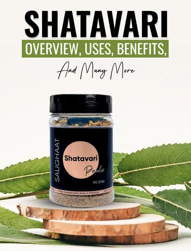 Shatavari Powder